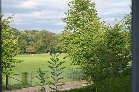 Park Views