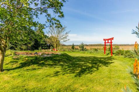 Property Image 44
