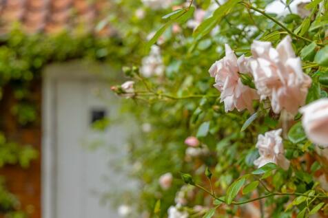 Property Image 65