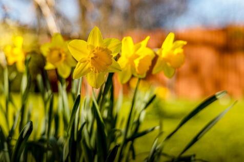 Property Image 31