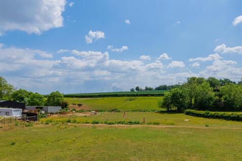 DSC_2465.jpg