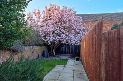 91RegentStBackGardend1 (002).jpg