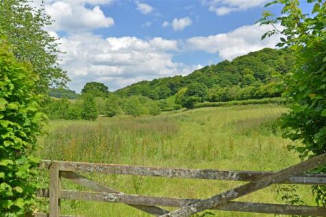 Field