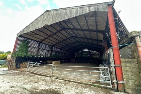 Lot 8