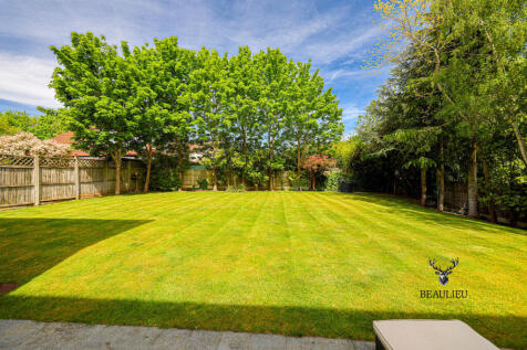 Property Image 41