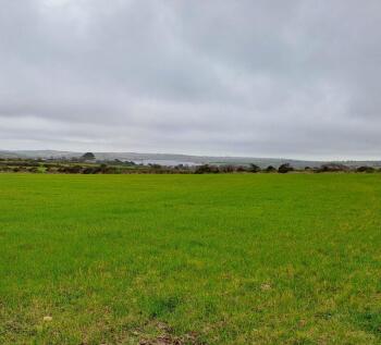 land