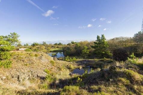Land View