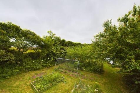 Side Garden