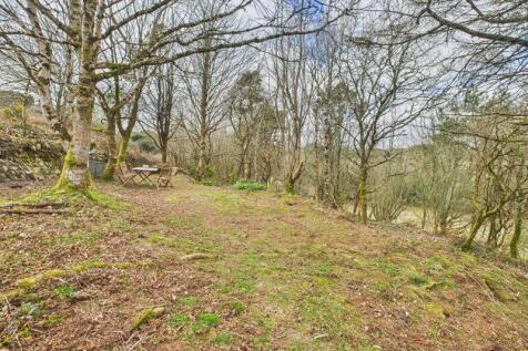 copse