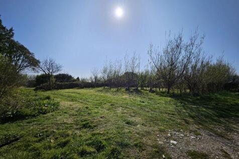 Orchard