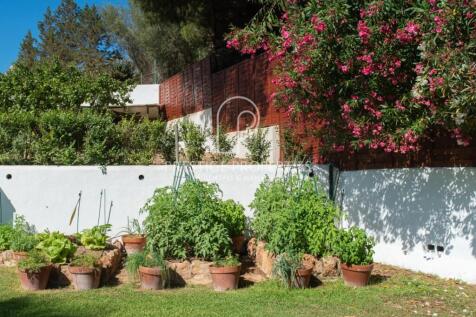 Property Image 39
