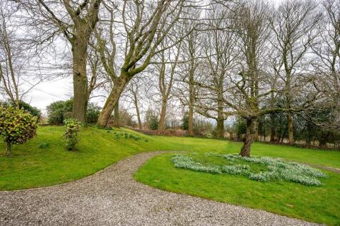 Side Garden