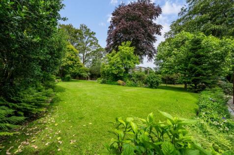 Side Lawn