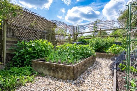 Vegetable Patch