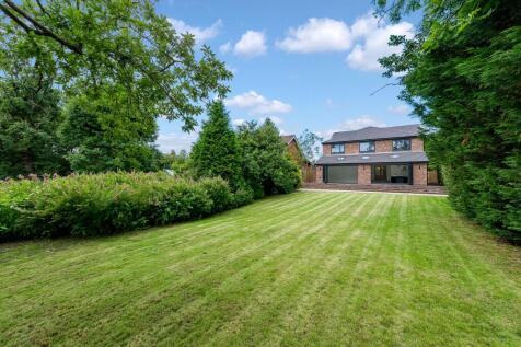 Rear of Property