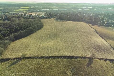 Warren Hill Farm