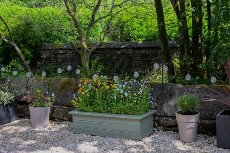 Property Image 61