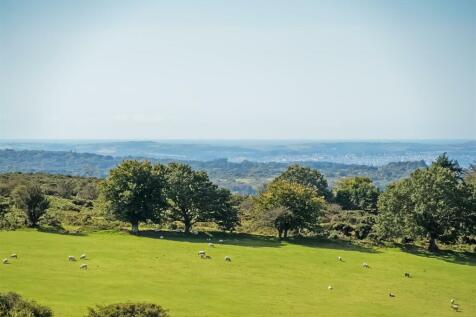 Paddock and View