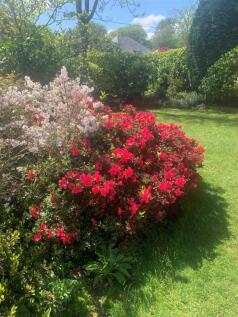 Vendor Summer Garden Photo
