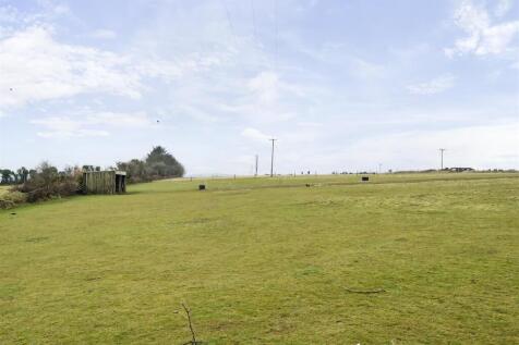 Rear Paddock