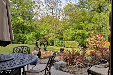 Patio Terrace