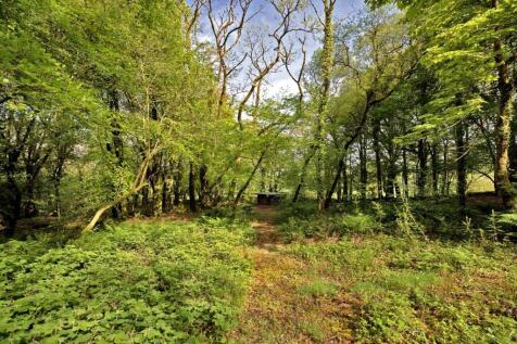 Woodland and Log Shed