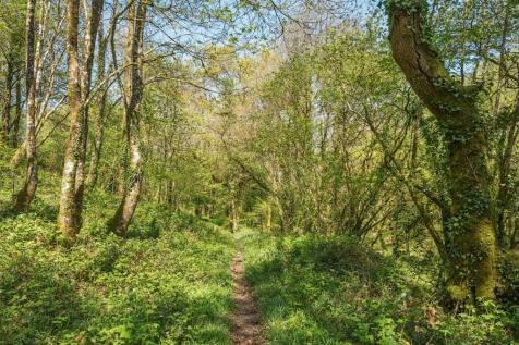 Woodlands