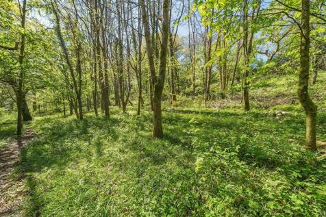 Woodlands