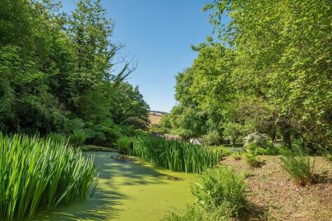 Wildlife Pond