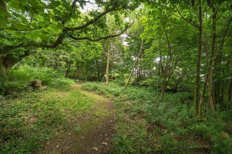 Woodland Area