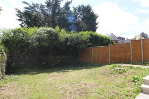 garden 3.JPG