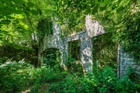 Coach House Ruins