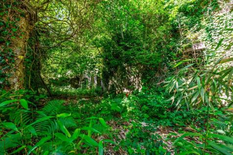 Coach House Ruins