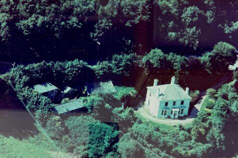 1968