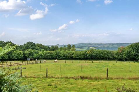 Paddocks and View