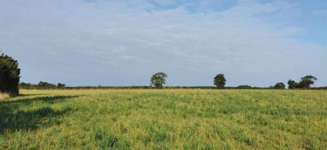 Field Looking Southwest