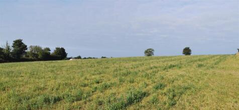 Field Looking Southwest