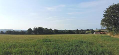 Field Looking South