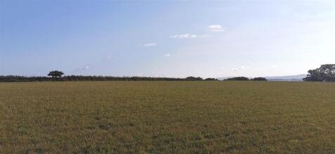 Field Looking North