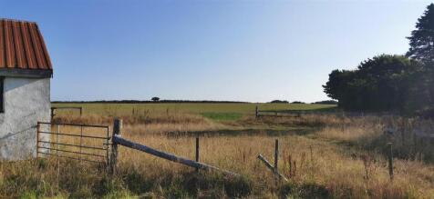 View of Field from Alongside Barn