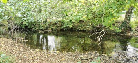River Meavy