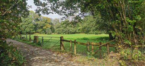 Entrance - Looking North