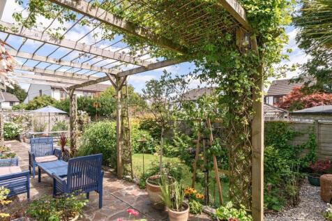 Patio and Pergola