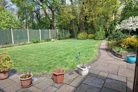 Back Garden 3.jpg