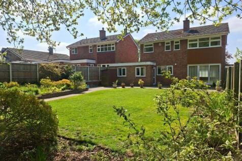 Back Garden 4.jpg