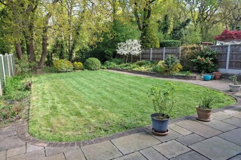 Back Garden 2.jpg