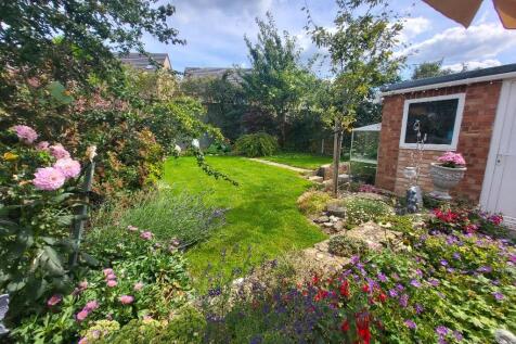 Mature Garden 