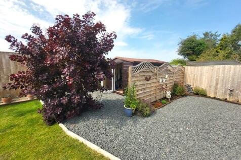 Rear Garden / Shed