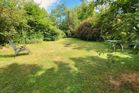 Sunny Comm. Garden