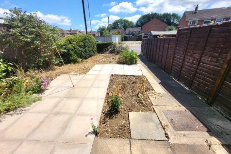 Garden (2) 